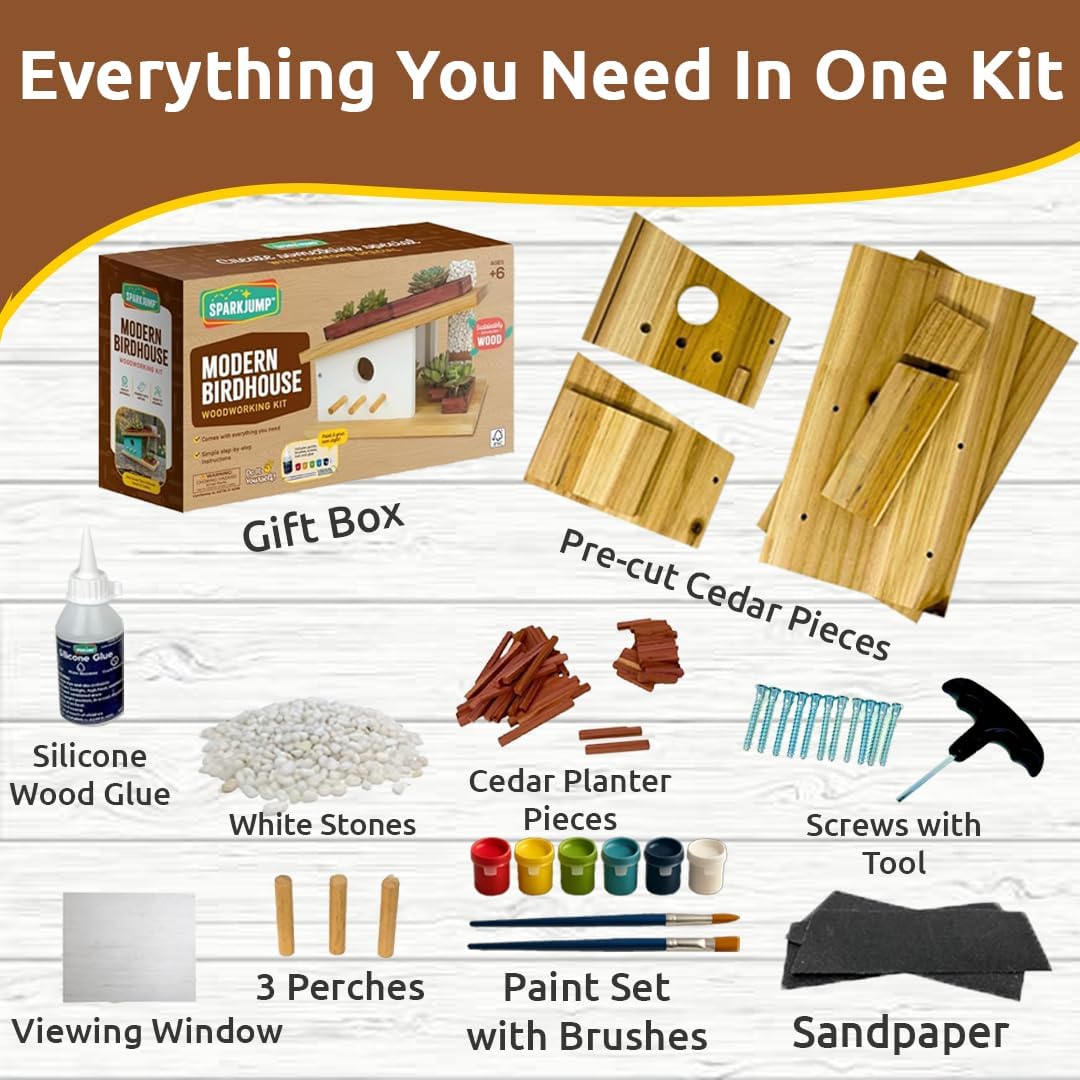 SparkJump Modern Birdhouse Woodworking Kit, Complete DIY Birdhouse for Kids & Adults, Build Your Own BirdhouseKit for Creative Woodworking Crafts