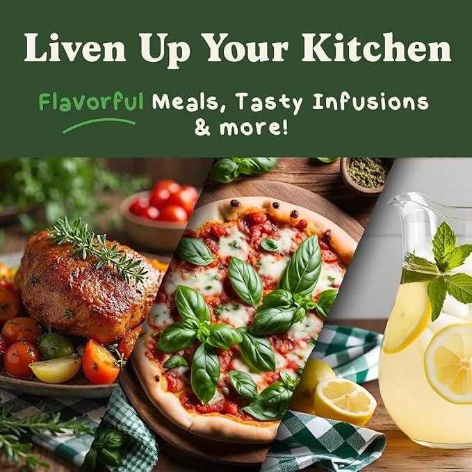 Seedboy Organic Non GMO 10 Herb Variety Pack: Basil, Cilantro Mint Oregano Parsley Thyme Chives Dill Sage Rosemary for Planting Indoor and Outdoor, 5460 USDA Certified Seeds (10 Herb Variety Pack)