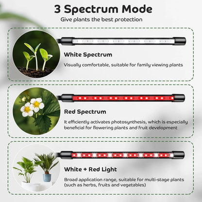 Shyineyou Grow Lights for Indoor Plants, 80LEDs Clip Plant Lights for Indoor Growing, Full Spectrum LED Plant Growing Lamps with Flexible Gooseneck 3 9 12Hrs Timer, 9 Dimmable Levels