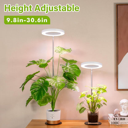 LORDEM Grow Light, LED Plant Light for Indoor Plants Growing, Full Spectrum Desk Growth Lamp with Automatic Timer for 4H/8H/12H, 4 Dimmable Levels, Height Adjustable 9.8"-30.6", Pack of 2