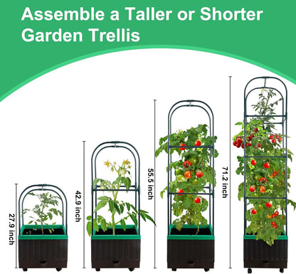 Raised Garden Bed with Self Watering Garden Pots, Planter Box with Trellis for Climbing Plants Vegetable Vine Flowers, Tomato Cage Planter for Indoor Outdoor Yard Greenhouse Use