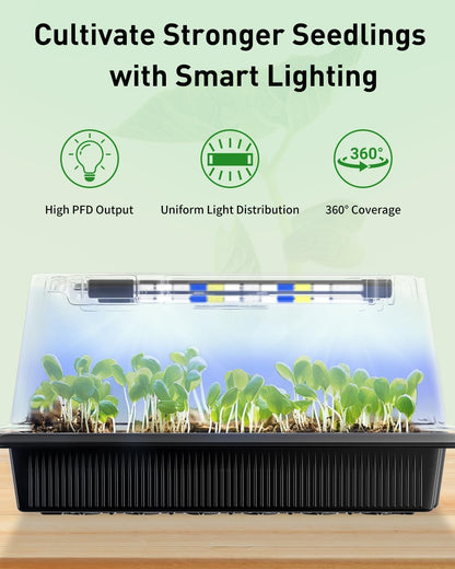 Pawfly Seed Starter Trays, 2 Pack 80 Cells Seed Starter Kit with Adjustable Grow Light Bars & 3.5" Humidity Domes, Seeding Tray with Lids, Reusable Plant Germination Trays for Seed Starting
