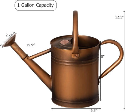 Gardenised 1 Gallon Metal Watering Can with Removable Long Spout & Sprinkler Head for Indoor & Outdoor Use Ideal for Garden Flowers Potted Plants Houseplants Modern Decorative Home Accessories, Bronze