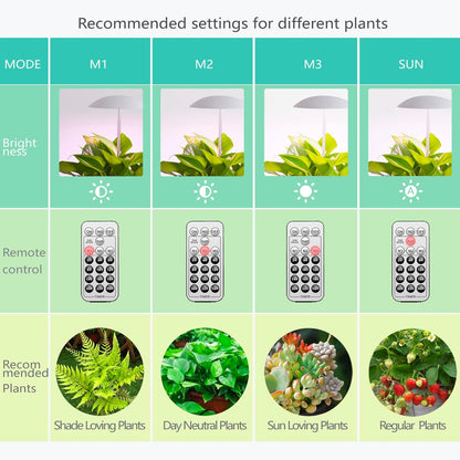 LED Grow Lights for Indoor Plants, Smart USB Small Full Spectrum Plant Lights with Remote, Height Adjustable, Auto On/Off Timer, Ideal for Home Decoration