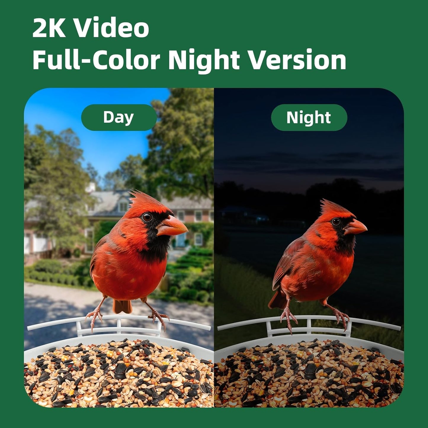 Metal Bird Feeder with Camera,Solar Powered,1.7L Capacity,Auto Capture & AI Identify Bird Species 10000+,2K HD Live Stream Camera,Real-Time Notifications