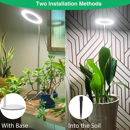Grow Lights for Indoor Plants, Full Spectrum Plant Lights for Indoor Growing, 9.8"-37.4" Height Adjustable Desk Grow Lamp with Auto Timer 6/12/16Hrs, 3 Optional Spectrums, 5 Brightness,2 Pack