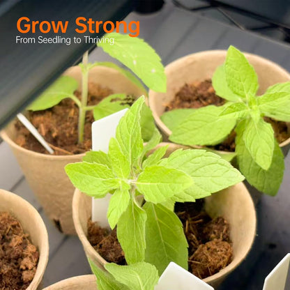 Bstrip Plant Shelf with Grow Light, 5 Tier Large Tall Plant Stand with 3FT T8 120W Grow Light for Indoor Plants, Full Spectrum LED Plant Light with wheel for Seedling, (47.2" Lx17.8 Wx71 H)