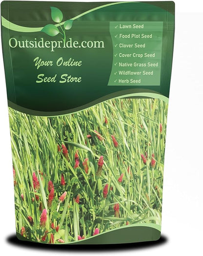 Outsidepride Gardenway Cover Crop Seeds - 10 lbs Nutrient-Rich Seed Mix for Soil Health Improvement & Home Gardens - Mixture of Triticale, Peas, Oats, Vetch, Annual Ryegrass, Crimson Clover