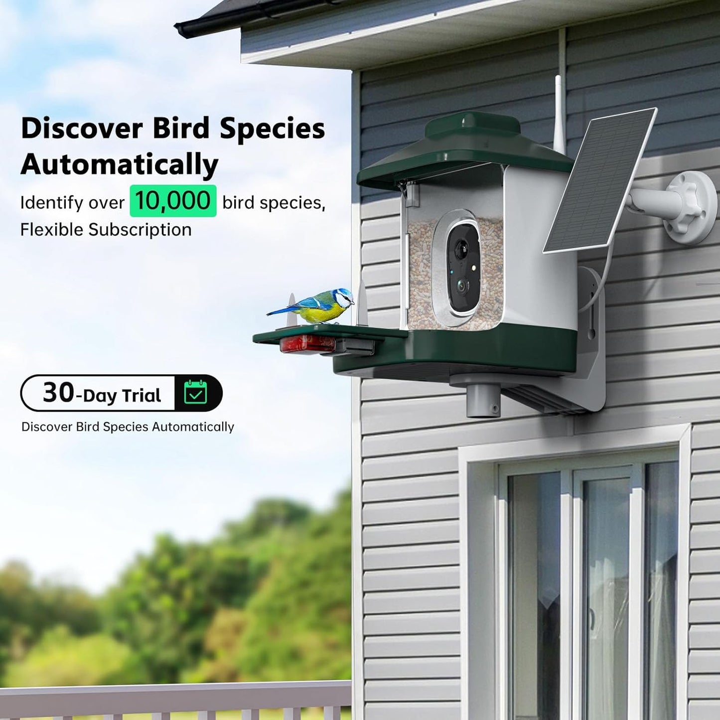 Smart Bird Feeder with Camera, AI Identify Bi rd Species Solar Powered,Full HD Live Video Bird Feeder Camera, 2.4Ghz WiFi,Nstant Arrival Alerts - Best Gifts for Bi rd Lover