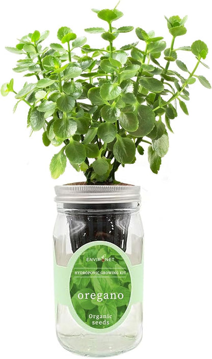 Hydroponic Herb Growing Kit, Self-Watering Mason Jar Herb Garden Starter Kit Indoor, Grow Your Own Herbs from Organic Seeds (Oregano)