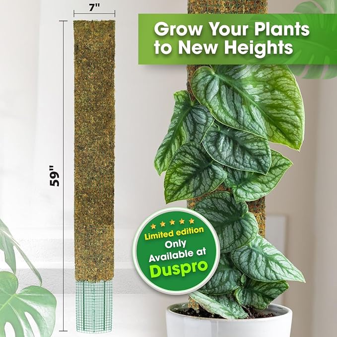 DUSPRO 59’’ Flat Mesh Moss Poles for Climbing Plants Monstera Flat Stacks for Tall Plant with Real Moss Moss Pole for Indoor Plants Plant Stick Support Tall Indoor Plants Support Stakes (1pc., 59'')