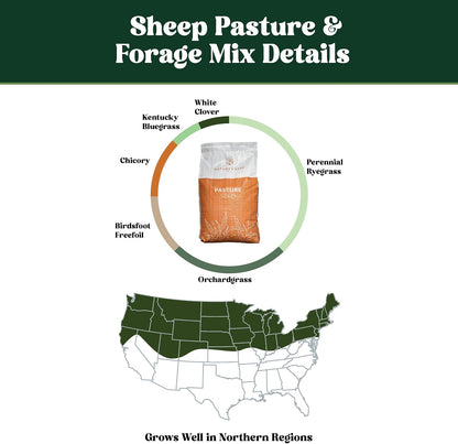 Nature's Seed Northern Sheep Forage Mix, Cattle Pasture Grass Seed Cool-Season Blend, Nutrient-Rich, 10 lbs