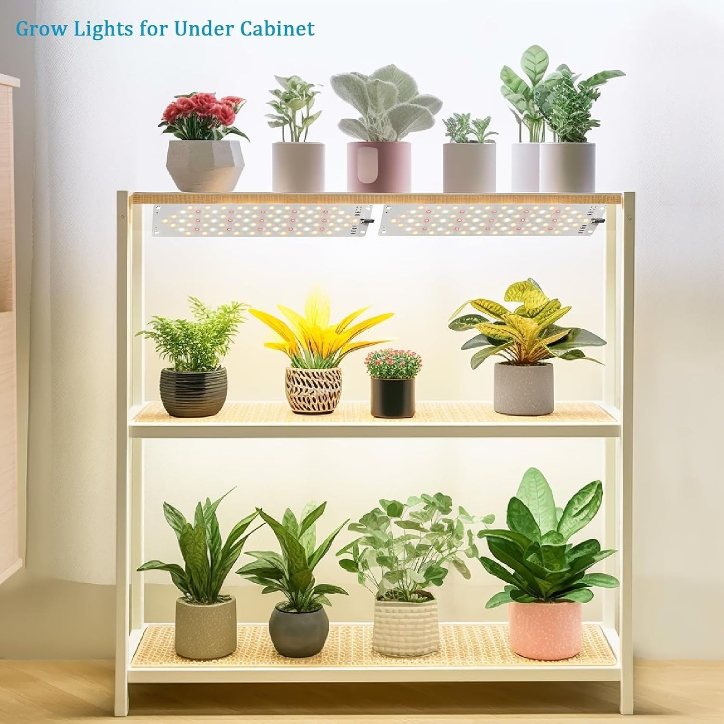 Led Grow Light,Grow Lights for Indoor Plants Full Spectrum, 316leds Plant Lights for Indoor Growing with 3/9/12H Timer, 10 Types of Brightness Grow Light for Seed Starting (4pcs)