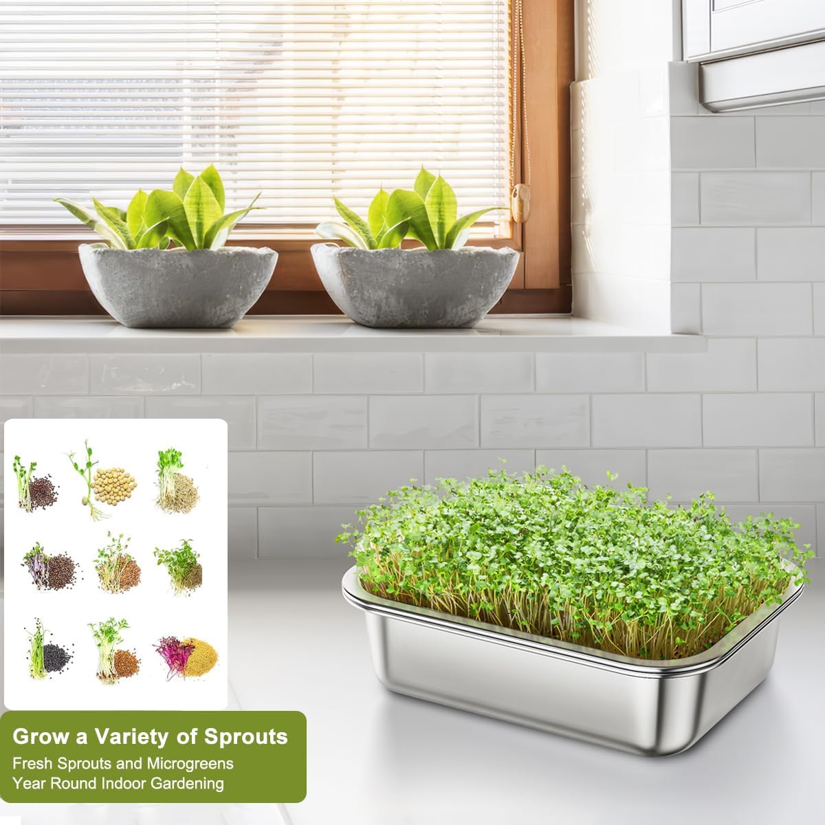 FANHAO 2-Pack Sprouting Tray Kit, Stainless Steel Soil-Free Cultivation Germination Tray, Healthy Wheatgrass Grower Sprouting Container Kit Nursery Tray for Indoors Plant Seedlings