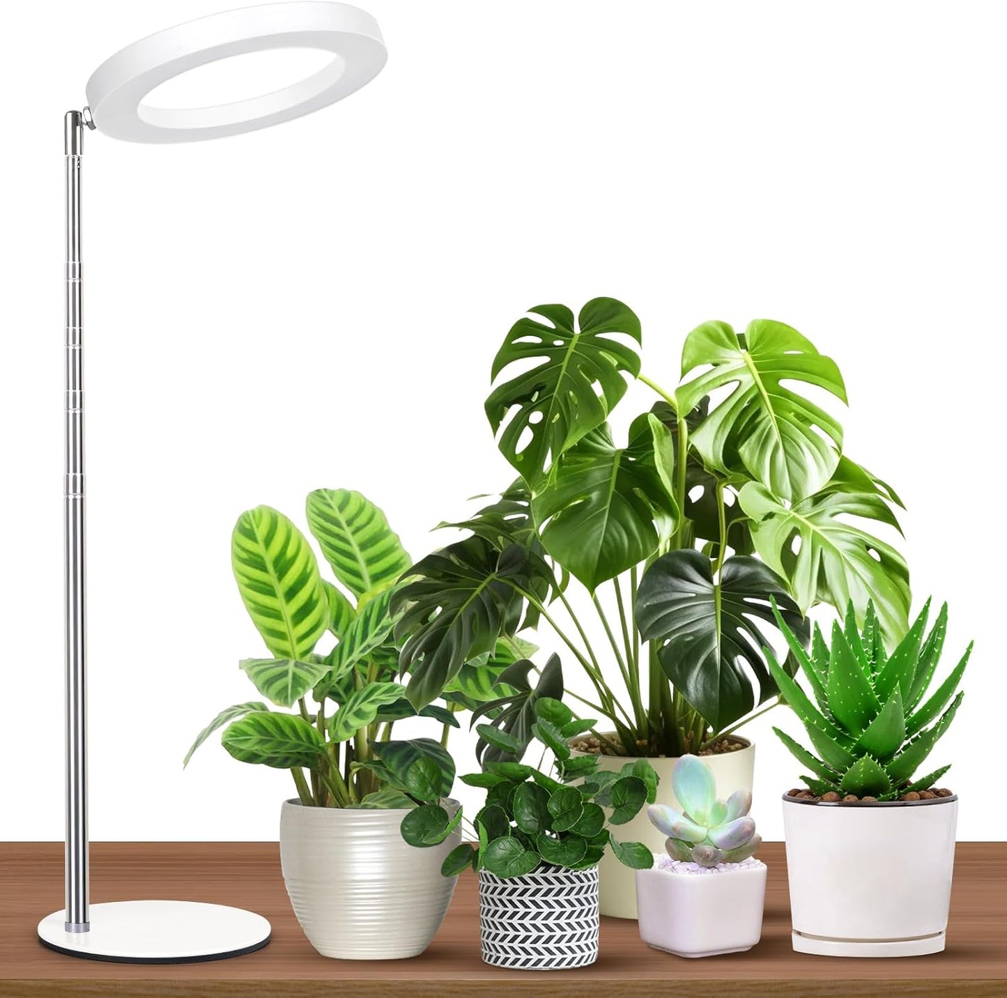 Desktop Grow Light, Height Adjustable Grow Lights for Indoor Plants Full Spectrum, 3 Lighting Mode, Halo Grow Light with Timer, Plant Lights for Indoor Growing (White)