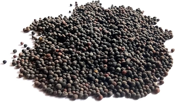 Dwarf Siberian Kale Seeds for Planting – Plant & Grow Heirloom Non-GMO Dwarf Siberian Kale in Home Outdoor Vegetable Garden, Brassica Napus – 1 Packet Approx 200 Seeds