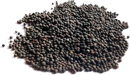 Kale Seeds for Planting - Plant & Grow Heirloom Kale Varieties Home Outdoor Garden – Easy Grow Planting Packet Instructions Included, Great Gardening Gift – 1 Packet of Each Variety