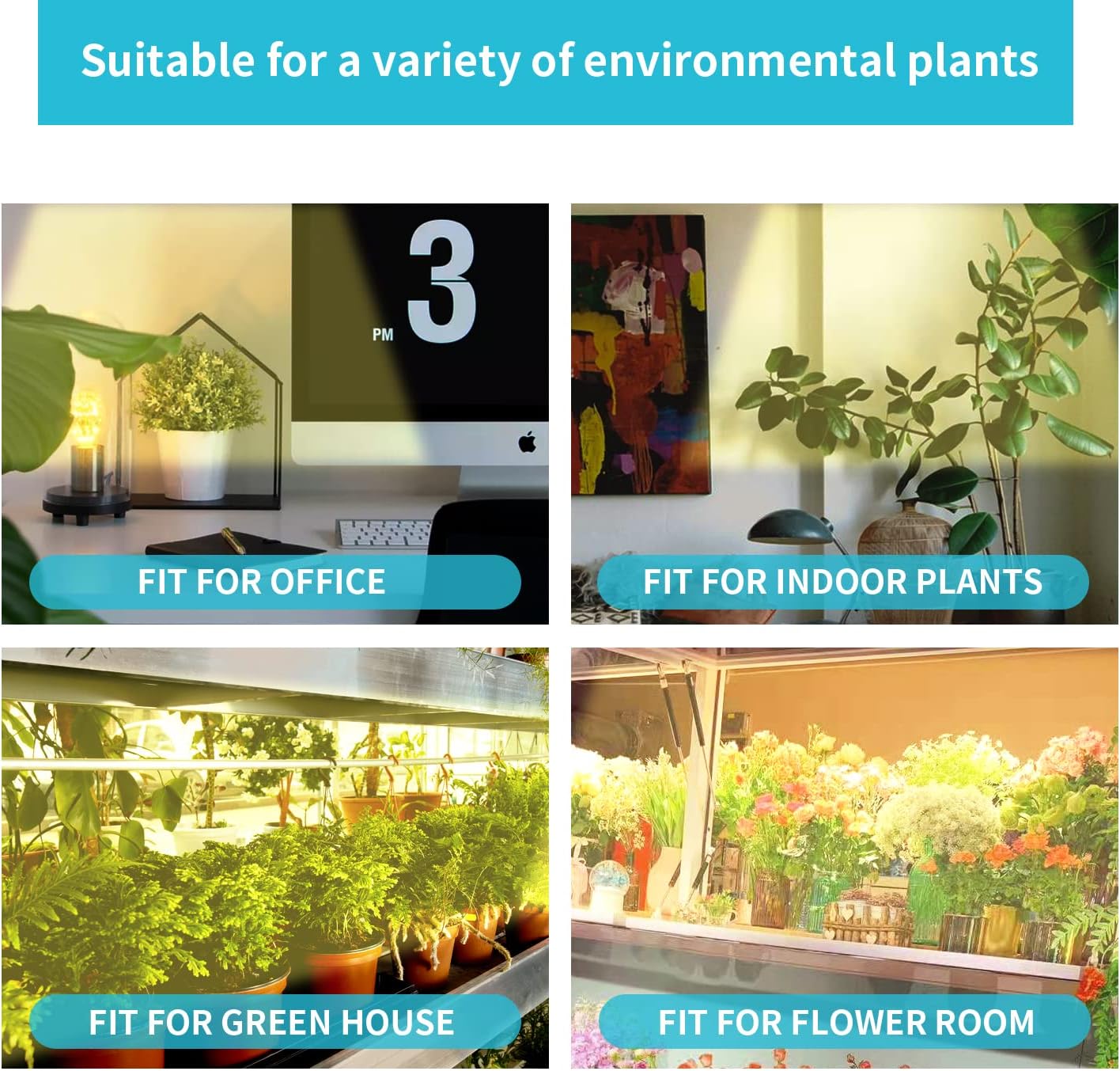 3 Head LED Grow Light Strips for Indoor Plants Full Spectrum 3500K, 144 LEDs Plant Light Bar with 3/9/12H Timer, 10 Dimmable Levels for Seedling Succulent, 13 Inches