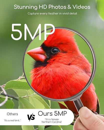 COOAU 5MP Smart Bird Feeder with Camera Solar Powered, Outdoor Bird House Cam with 11,000+ AI Birds Species Identification, 3K UHD Live Video Watching, Instant Notifications,Ideal Gift for Bird Lovers