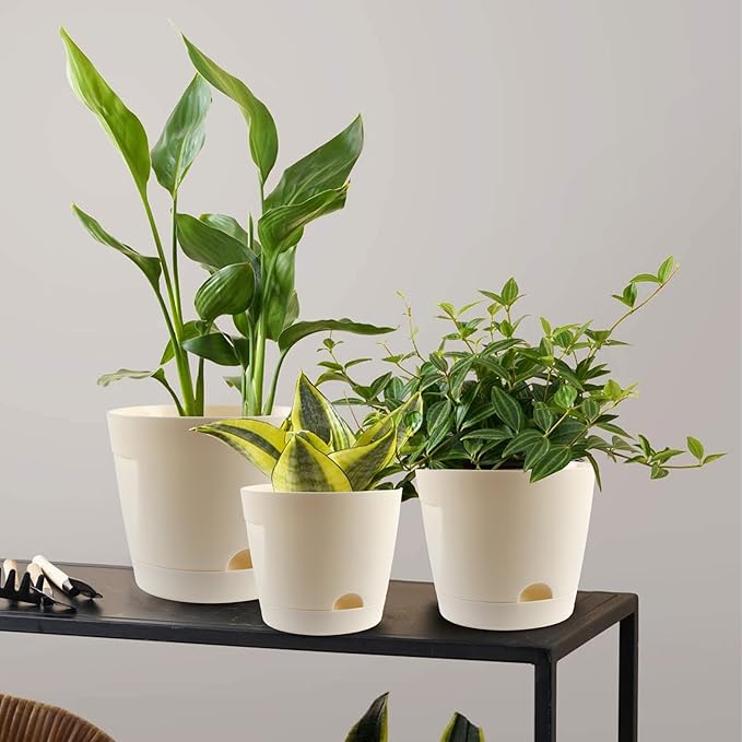 Self Watering Pots for Indoor Plants, 5+6+7 Inch 6 Pack Self Watering Planter with Reservoir for All Housplants Flowers Garden, Plastic Flower Pots for Succulents Planting Pot (Cream White)