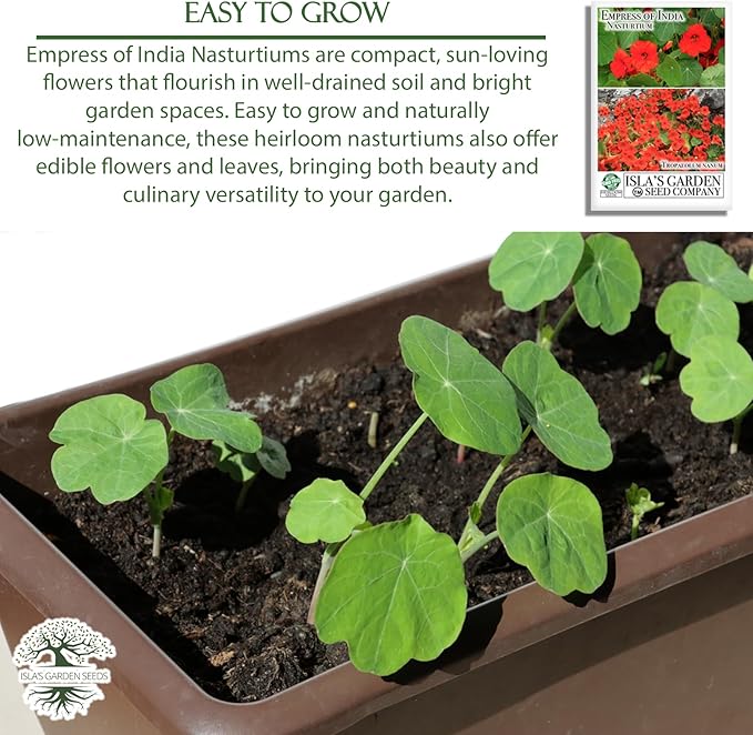 Empress of India Nasturtium Seeds (Tropaeolum nanum) – 50+ Heirloom Non-GMO Seeds by Isla’s Garden Seeds, Deep Crimson Blooms & Dark Green Foliage, Edible Flowers, Perfect for Gardens & Containers