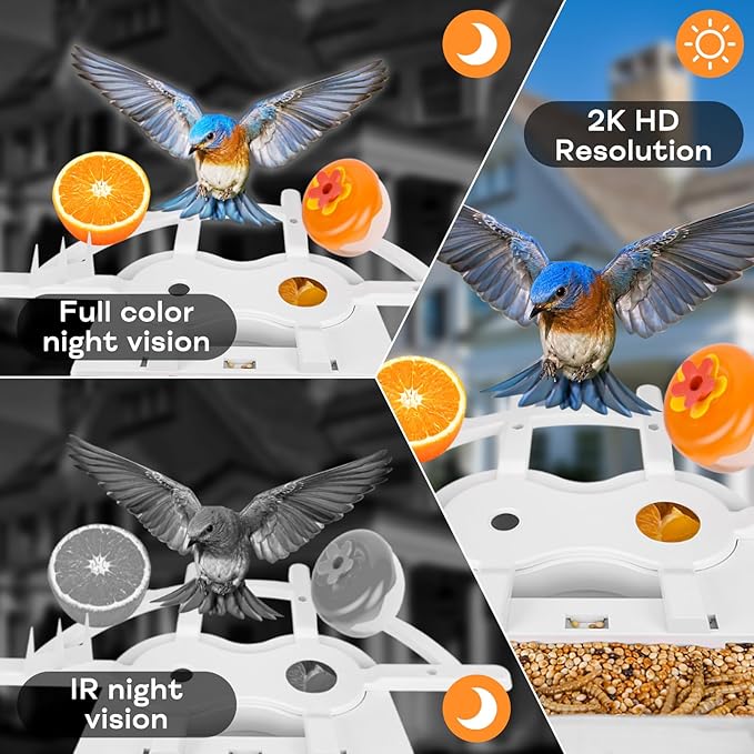 Smart Bird Feeder with Camera for Outside, 2K Ai Camera Feeder Wireless Outdoor, Bird House with Solar Powered Video Live Auto Capture, Watching Gifts for Birds Lovers
