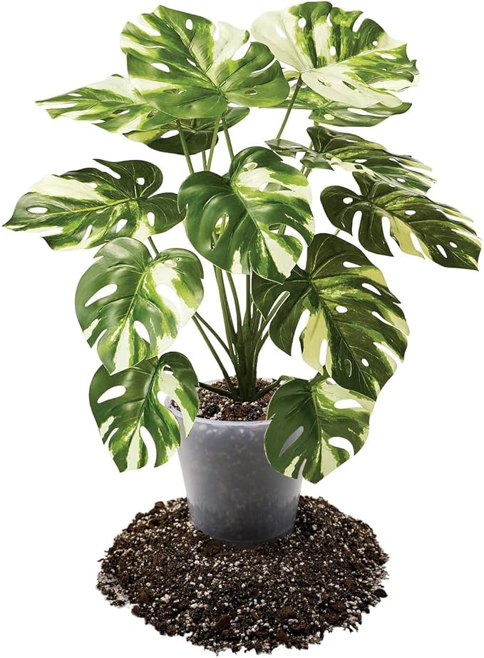 Premium Aroid Potting Mix - Soil Free Blend for Aroids - Growing Medium for House Plants by Gardenera - (5 Quart Bag)