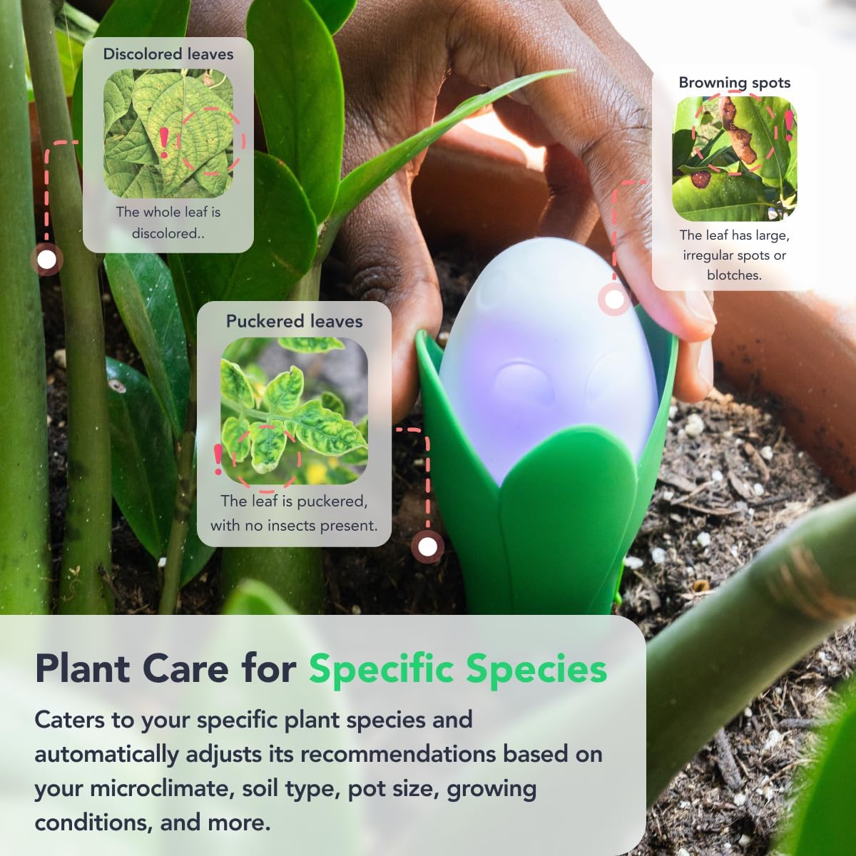 Flora Pod AI-Powered Smart Plant Monitor | for Indoor or Outdoor Plants | Personalized Alerts for Moisture, Temperature, Humidity, and Light