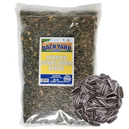 Striped Sunflower Seed 10 Pounds