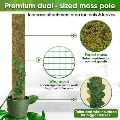DUSPRO 59’’ Flat Mesh Moss Poles for Climbing Plants Monstera Flat Stacks for Tall Plant with Real Moss Moss Pole for Indoor Plants Plant Stick Support Tall Indoor Plants Support Stakes (1pc., 59'')