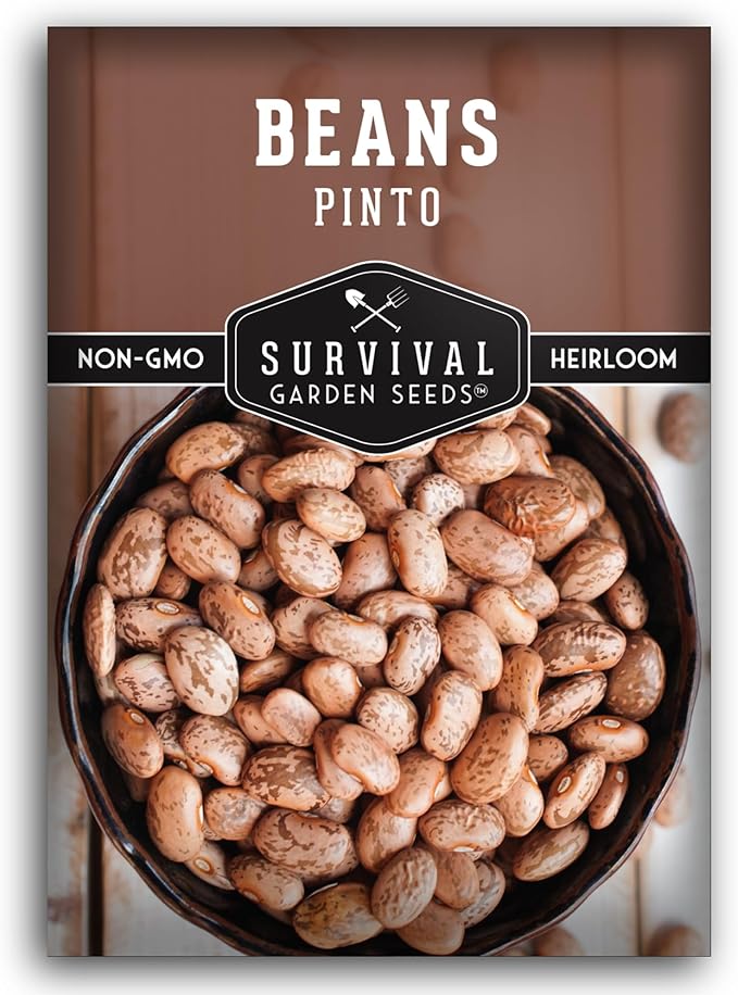 Pinto Bean Seeds for Planting - 1 Packet with Instructions for Growing Mottled/Peruano Beans in The Home Vegetable Garden - Non-GMO Open-Pollinated Heirloom & Untreated - Survival Garden Seeds