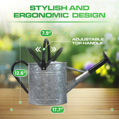 Plexon 1 Gallon Metal Watering Can Outdoor, Flower Plant Gardening Garden Large Galvanized Watering Can Pot Pitcher, Steel Black Handles and Removable Spray Spout