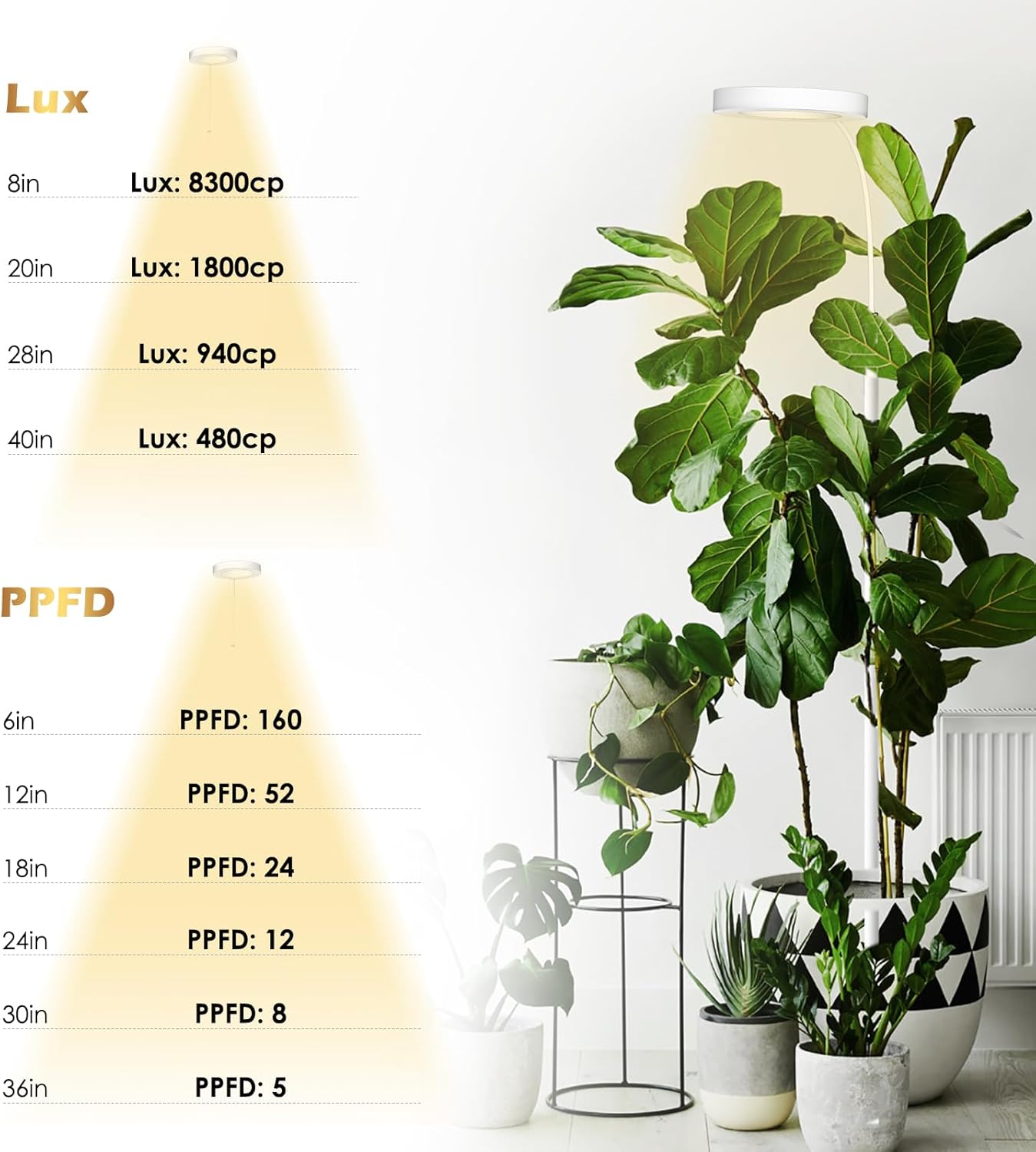 GLOWRIUM Grow Lights for Indoor Plants, 20W Full Spectrum LED Grow Light Floor Lamp with Stand Adjustable Height and Angle, Black Plant Light with 3/9/12H Timer White