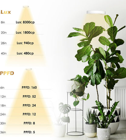 GLOWRIUM Grow Lights for Indoor Plants, 20W Full Spectrum LED Grow Light Floor Lamp with Stand Adjustable Height and Angle, Black Plant Light with 3/9/12H Timer White