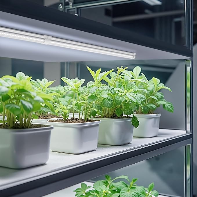 Barrina Grow Lights, 2FT 5000K White Full Spectrum Plant Growing Lamps, 144W(6 x 24W, 800W Equivalent), T8 LED Grow Light Bulbs, Plant Lights for Indoor Plants, Greenhouse, Linkable Design, 6-Pack