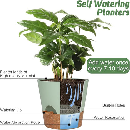 10-Inch Plant Pots, Self-Watering Planters with Drainage Holes & Saucers for Indoor and Outdoor Plants (2-Pack, Green)