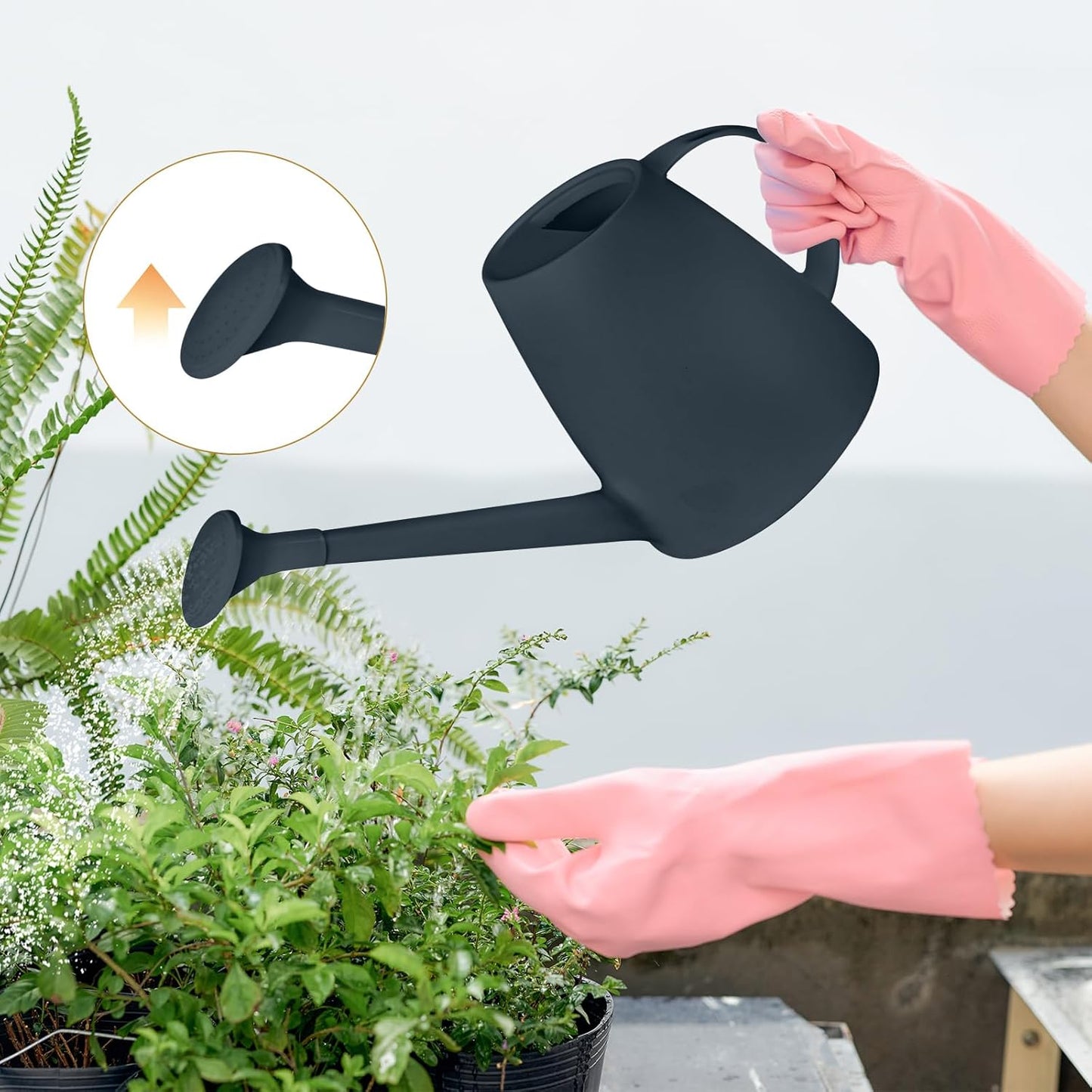 Plastic Watering Can - 1/2 Gallon - Black