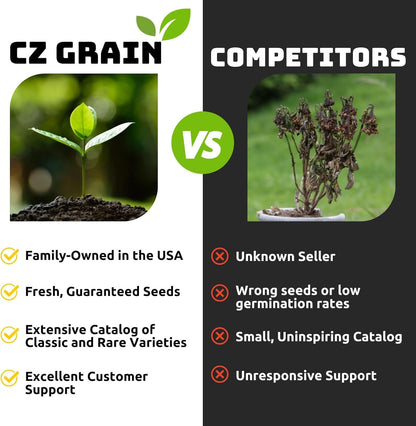 Rye Cover Crop Seeds - Non-GMO Rye Grain (20 Pound Bag) - Winter Rye Seeds