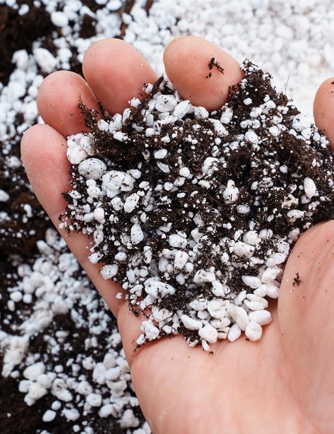 TOYPOPOR Perlite for Plants, (3qt) 3-6mm Organic Perlite for Gardening, Perlite for Plants Indoor, Soil Additive Conditioner Mix Improve Drainage and Ventilation Promote Root Growth and Soil Health