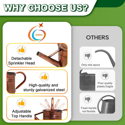 Metal Watering Can with Removable Spout, Galvanized Watering Can, Perfect for Indoor Use and for Outdoor Use (1 Gallaon, Metal)