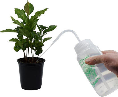 hBARSCI 2PK Houseplant Helper Plant Water Bottle, 16oz -Weekly Irrigation Scale Printed on Side - Plant Watering Devices, Succulent Watering Bottle, Indoor House Plant Waterer, Seed Tray Watering Can