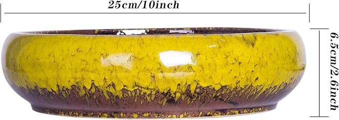 ARTKETTY Succulent Pots - 10 Inch Ceramic Bonsai Pots with Drainage Stand, Large Shallow Planters for Indoor Plants Glazed Cactus Flower Planter Container Bowl