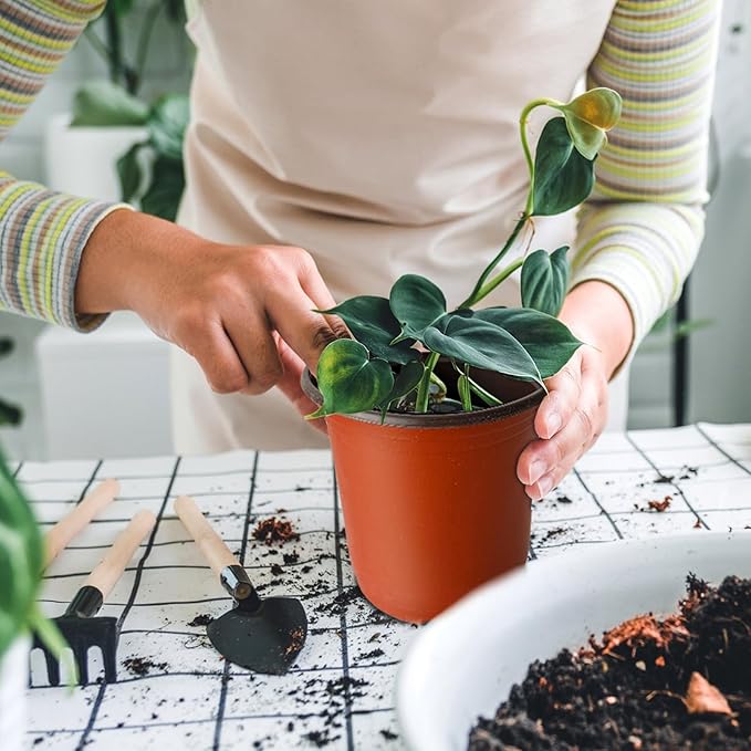 100 Pcs Plant Nursery Pots,6 Inch Thicker Plastic Seedling Pots with Holes,Seed Starting Pot Flower Plant Container for Succulents,Seedlings,Cuttings,Transplanting