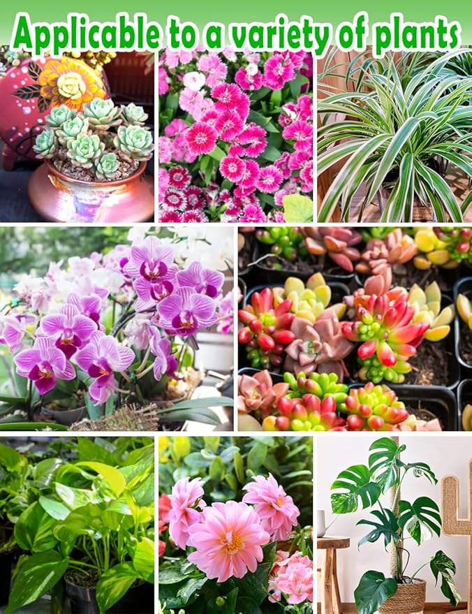 TOYPOPOR Potting Soil for All Indoor Houseplants, (3qt) Contains Perlite, Peat Moss, Coco Coir and Rice Charcoal, Well Draining Potting Mix Light, Aerated Texture for Healthy Plant Roots, Fast Growth