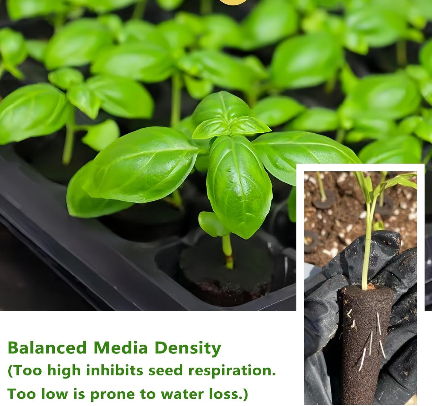 kathson 100PCS Grow Sponges for Hydroponics,Garden Cube Grow Sponges,Replacement Garden Seed Starter Pods Hydroponic Growing System,Hydroponics Sponge Kit with 10 Plant Labels and 1 Tweezer