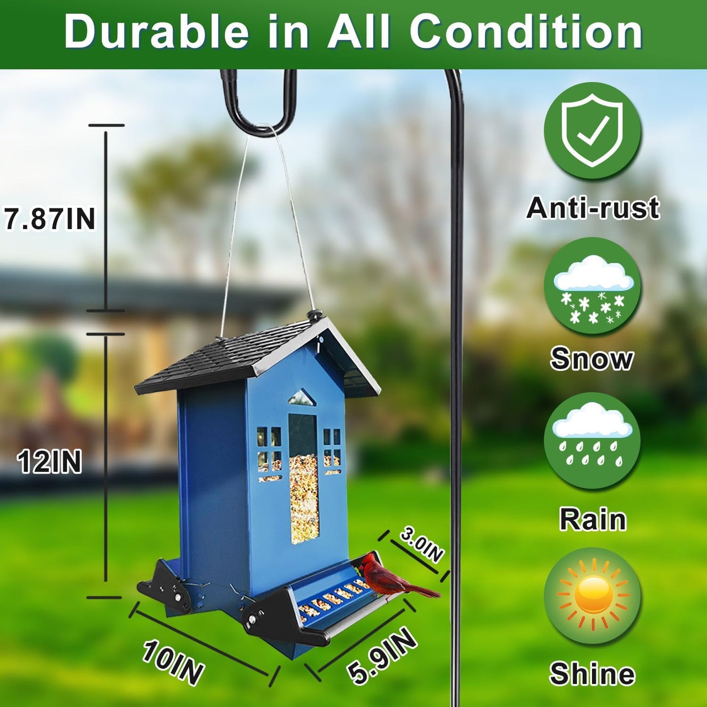 Squirrel Proof Bird Feeder for Outdoors, 6LBS Large Capacity Hanging Bird Seed Feeders for Outside, Weight-Activated Perches Metal Wild Birdfeeder for Blue Jay, Cardinal (Blue)