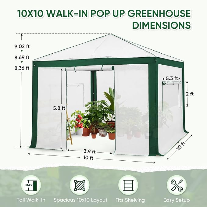EAGLE PEAK 10x10 Portable Walk in Greenhouse with Polyester Reinforced Corners, Instant Pop up Indoor Outdoor Gardening Green House, Roll Up Zipper Entry Doors and Mesh Windows, Green/White