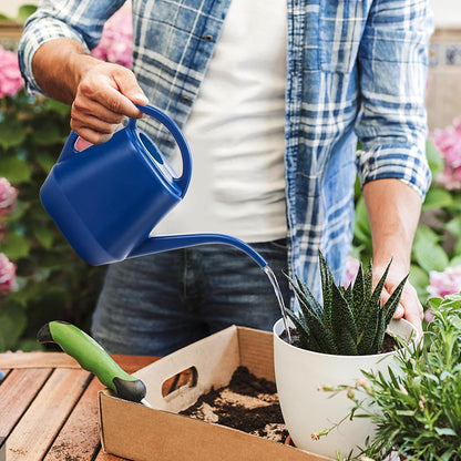 Fasmov Watering Can, 1/2 Gallon Plastic Watering Cans with Comfortable Handle, Small Garden Watering Cans Long Spout for Indoor Outdoor Watering Plants, Blue