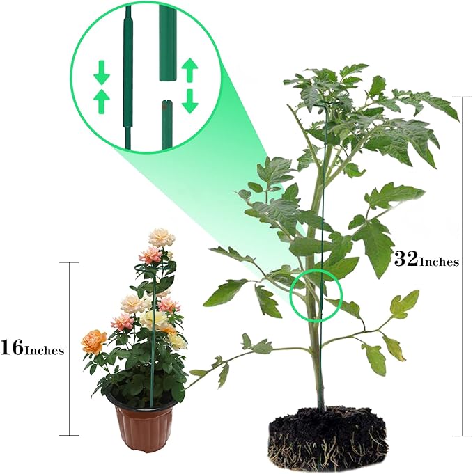 8 Pack Plant Stakes,Plant Support Stakes for Two Sizes(16 or 32 Inches),Plant Stakes for Outdoor Plants,Garden Flower,Tomato(Green)