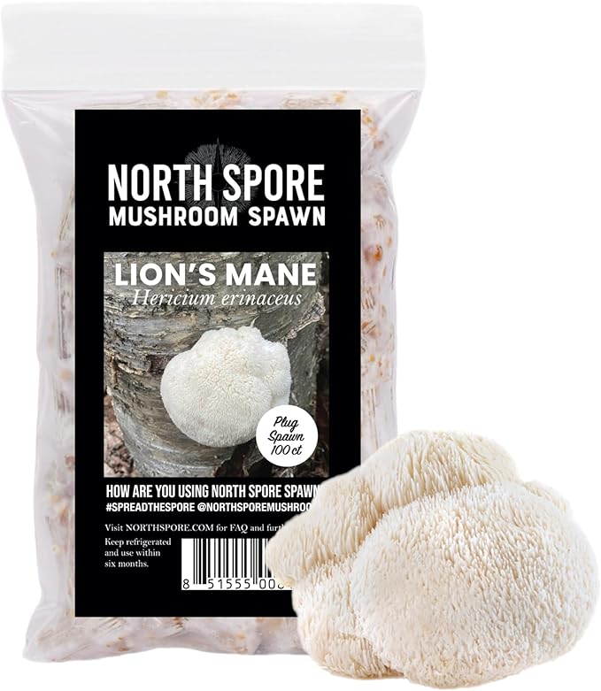 North Spore Log Inoculation Bundle | 100 ct Shiitake, Lions Mane, and Blue Oyster | Wax, Daubers, Drill Bit | Grow Mushrooms on Outdoor Logs | Premium Quality Mushroom Plug Spawn | Handmade in USA